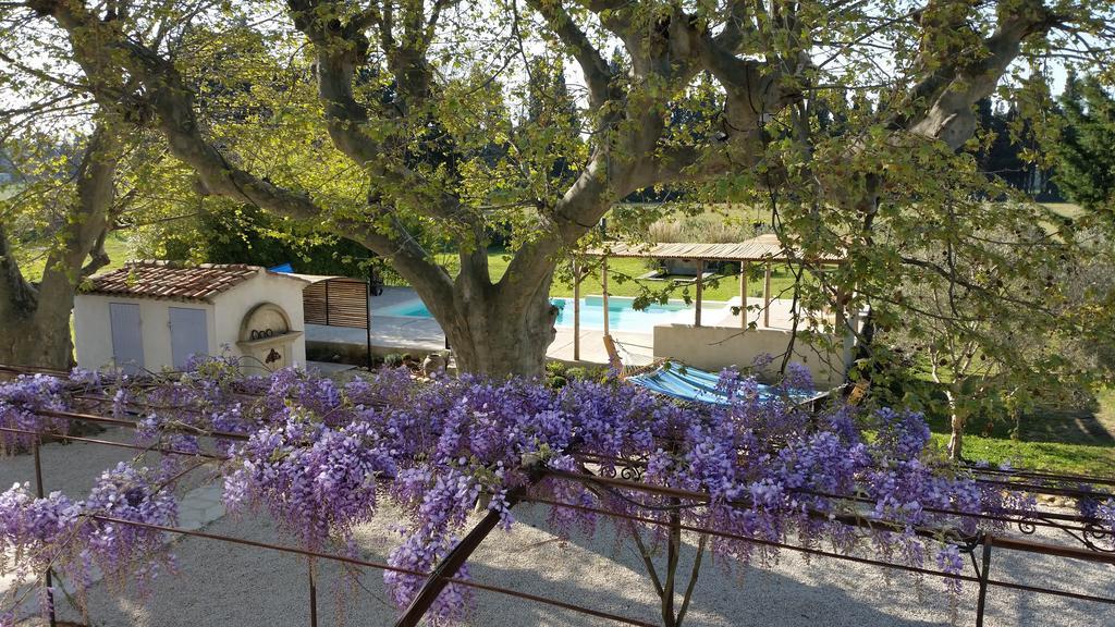 Sous Les Platanes B&B Châteaurenard Buitenkant foto